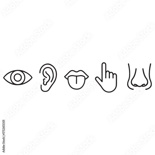 Five human senses vector illustration