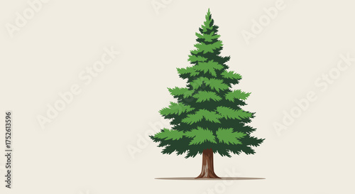 A tall evergreen coniferous tree with dense green foliage and a brown trunk stands proudly against a neutral background.