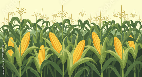 A bountiful harvest of ripe corn stalks stands tall in a verdant field.