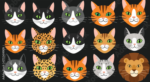 A delightful collection of various cat faces and a lion illustration.