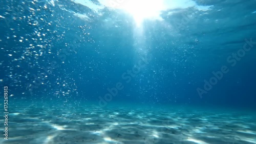 Tranquil Underwater Scene with Air Bubbles Rising to the Surface.