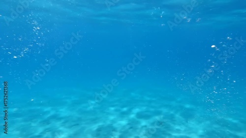 Underwater Serenity - Bubbles Ascend in Crystal Clear Ocean Depths.