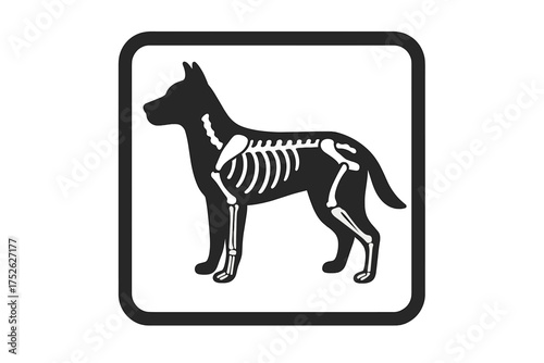Dog x-ray vector icon. Veterinary clinic and pet health care symbol. Animal skeleton and bones for medical radiology diagnosis. Flat style isolated vet illustration.