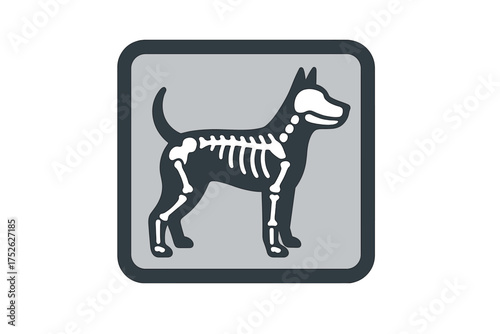 Dog x-ray icon. Veterinary clinic symbol. Pet health care. Animal medical diagnostic. Radiology examination for dogs. Canine skeleton anatomy vector. Flat simple illustration.