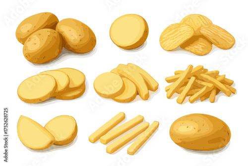 Realistic potato set for cooking. Collection of raw whole root vegetable, sliced pieces, wedges, sticks for french fries, and crispy potato chips. Food ingredient graphic elements.