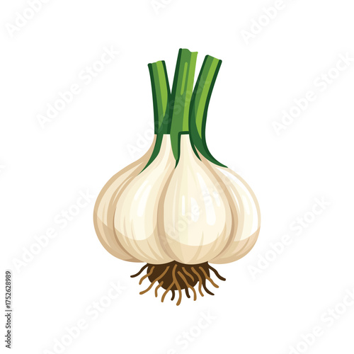 Whole garlic bulb with green stalks and roots, strong flavor.