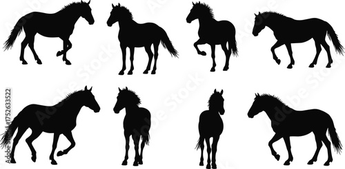 Horse silhouette collection on white background, running and standing horse vector illustration, equestrian animal design for wildlife and nature art