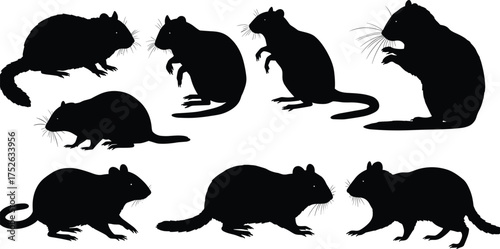 Black rat silhouettes collection isolated on white background, mouse and rodent vector illustration, wildlife design, pest control concept, animal shapes