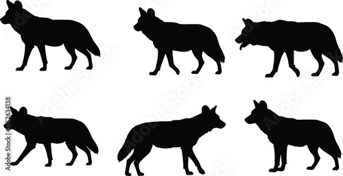 Wolf silhouettes collection, wild canine animal shapes in different poses, black vector illustration for wildlife design, logo, art, and decoration