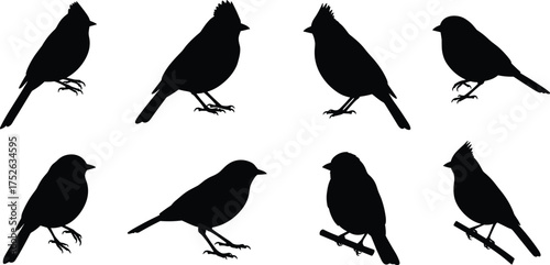 Bird silhouettes collection, songbirds, sparrows, and crested birds vector illustration, black bird shapes, nature wildlife design for art
