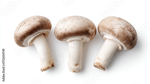 Whole White Mushrooms on White
