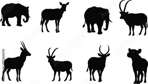 African wildlife silhouettes collection, elephant rhino antelope buffalo outline, wild animal vector illustration, safari nature design, jungle creature graphic set