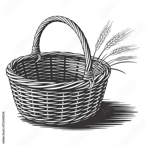 empty basket vector