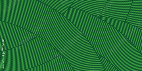 farm green banner, organic abstract background with fields. illustrstiom modern