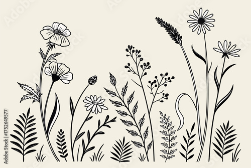 Delicate black and white wildflower meadow illustration