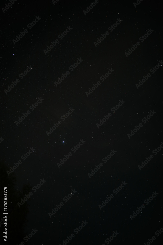 Fototapeta premium Serene Night Sky with Glowing Stars: A Captivating Display of Celestial Beauty