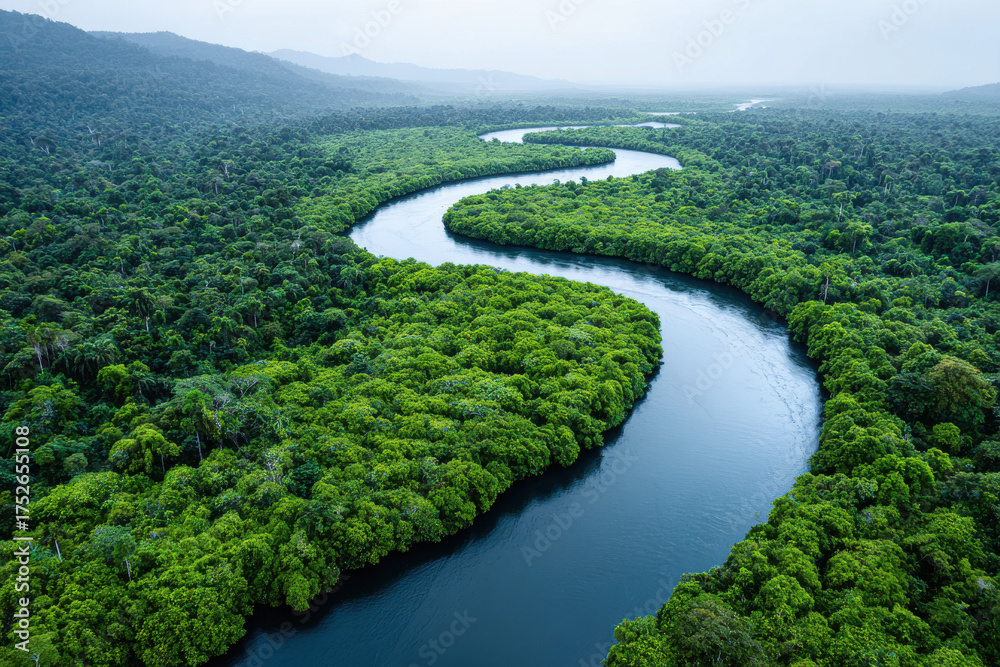 Fototapeta premium River winding through a lush tropical rainforest