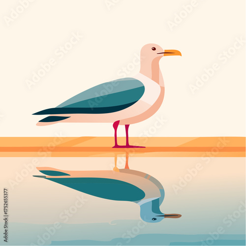 Stylized flat vector of a seagull standing at the edge of a tide pool, visible reflection, warm creamy pastel colors, minimal layout