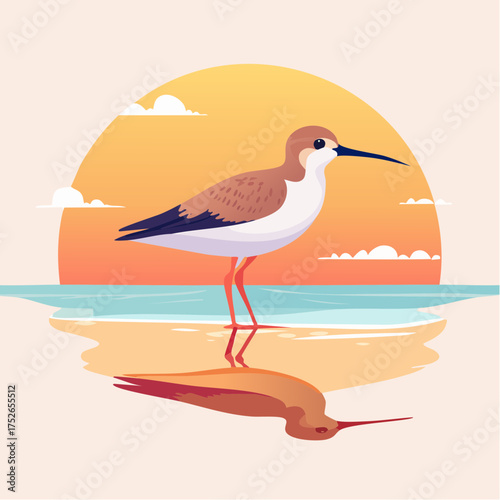 Flat vector of a sandpiper bird standing on wet sand, subtle reflection, warm sunset tones, minimalism and soft pastels
