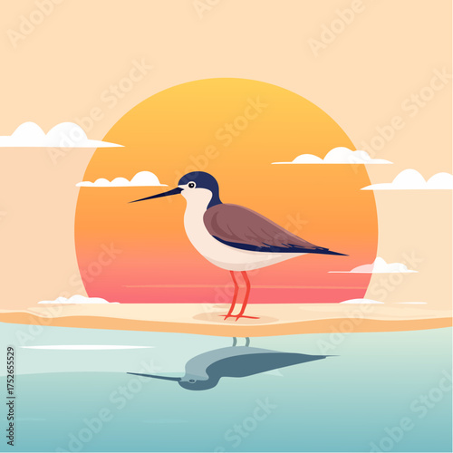 Flat vector of a sandpiper bird standing on wet sand, subtle reflection, warm sunset tones, minimalism and soft pastels