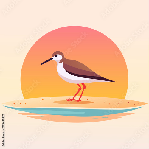 Flat vector of a sandpiper bird standing on wet sand, subtle reflection, warm sunset tones, minimalism and soft pastels