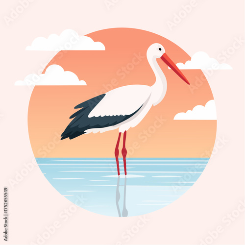 Vector illustration of a stork in water with its reflection, warm pastel background, minimal lines, modern flat design