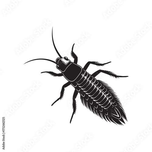 Silverfish Insect Silhouette Vector Graphic on White Background.