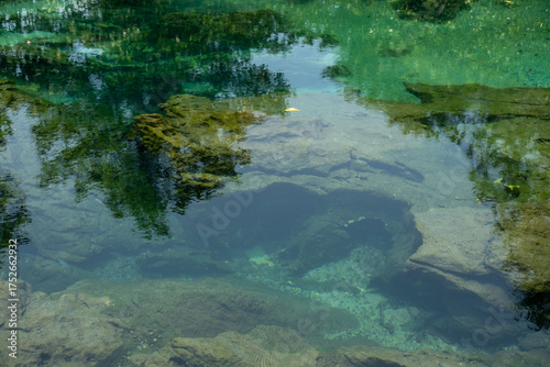 Transparent green and blue stream the tree roots and rocks under the water. Thapom Klong Song Nam in Krabi, Thailand