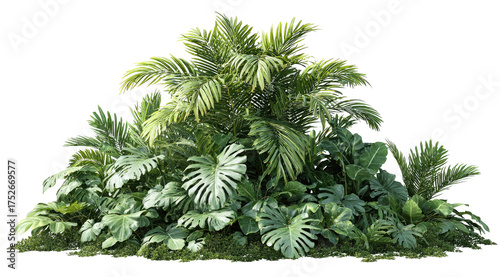 Fototapeta Naklejka Na Ścianę i Meble -  Lush tropical plant cluster (2)