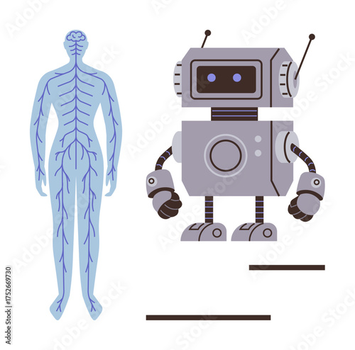 Human nervous system illustration paired with a robot, highlighting biological and technological parallels. Ideal for science, robotics, medical research, AI, healthcare, innovation and education. A