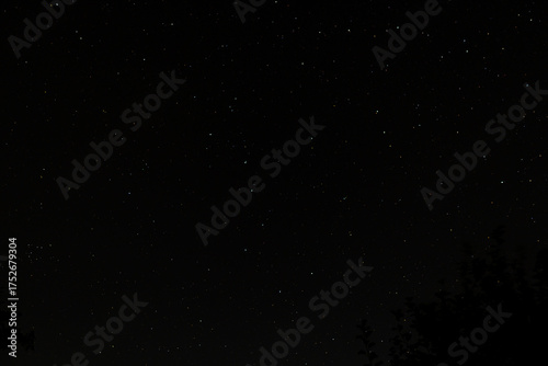 Wide view of a quiet, evenly scattered starfield and subtle constellations against deep black night, photographed with long exposure over faint tree silhouettes