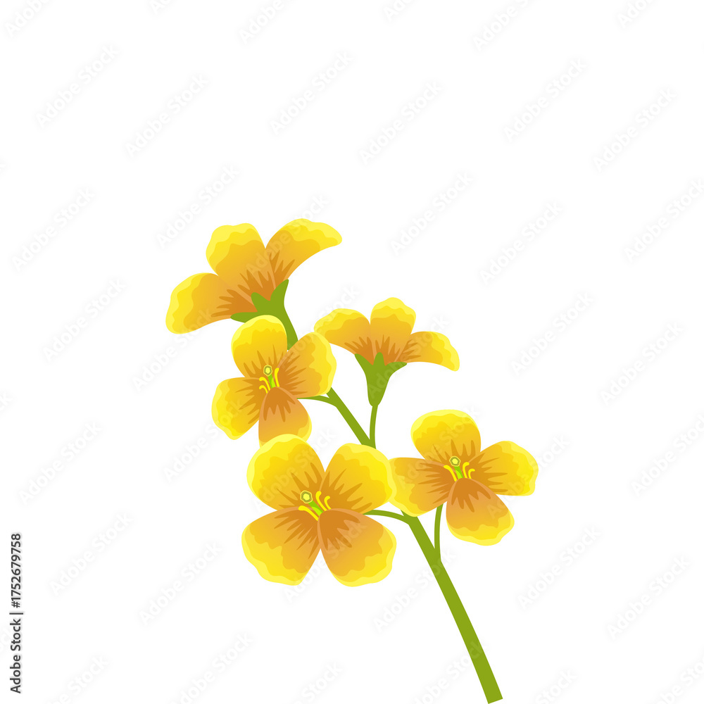Fototapeta premium Small Yellow Flowers With Green Stems On A Transparent Background And Soft Lighting Creating A Delicate Natural Beauty