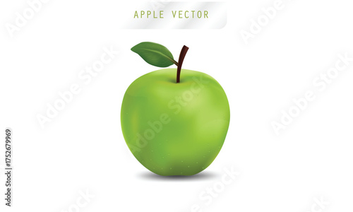 Set of Two Realistic Green Apples Vector Illustration with Leaf and Shadow on White Background

