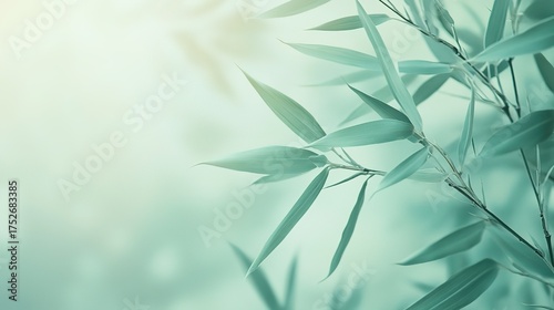 Lush Green Bamboo Leaves Close-Up with Soft Light Background: Natural Zen Design Element for Eastern Aesthetic Designs, Serene Theme Backgrounds and Commercial Promotion Materials