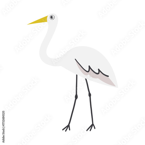 Illustration of a White Egret Bird