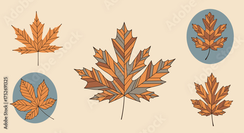 Autumn leaves in a variety of sizes and styles with a vintage aesthetic.