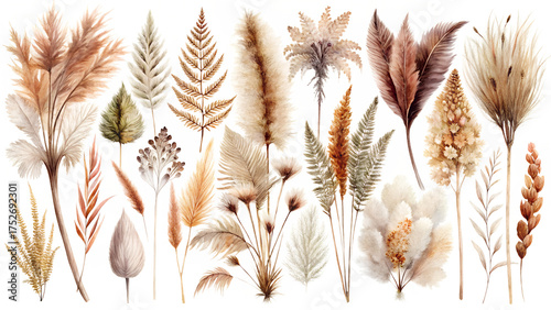 Bohemian dried floral arrangement with pampas grass, ferns, and eucalyptus, isolated on transparent background