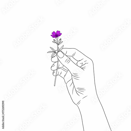 Vector art of a delicate hand holds a single vibrant purple flower with a thin stem and small leaves, isolated on a clean, symbolizing natures beauty and fragility in a minimalist line art style