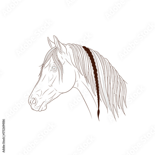 Vector art of a striking line drawing of an arabian horses head, showcasing its elegant profile and flowing mane with a touch of brown detail