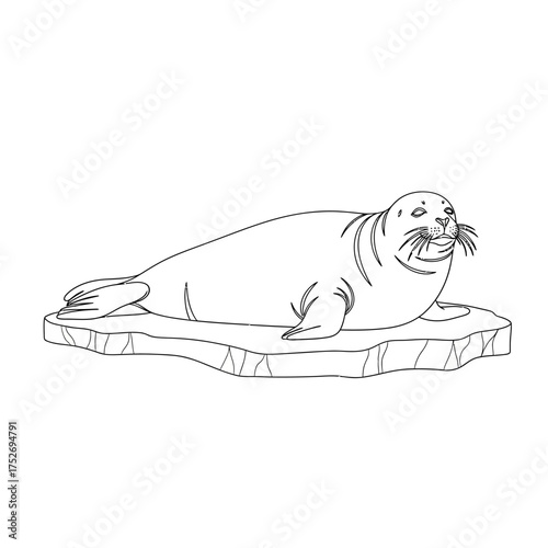Vector art of a simple line drawing of a seal resting on an ice floe, isolated on a, depicting arctic wildlife and marine life