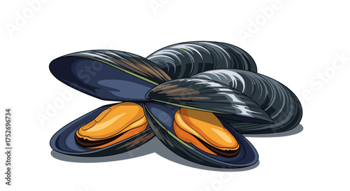 A close up illustration of several open mussels with orange flesh on a white background.
