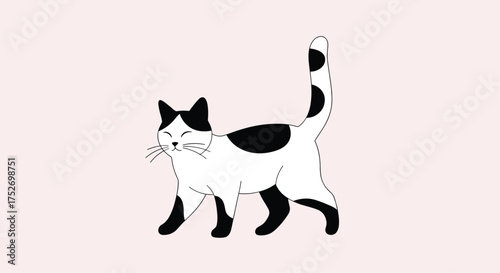 A cute black and white cat walks gracefully across a pink background.