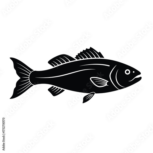 Bold black silhouette of a finely detailed fish for seafood and aquatic themes silhouette