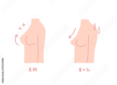 横から見た女性のバストのイラストセット