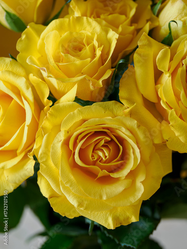 Wallpaper Mural Yellow rose flowers in a bouquet, captured in detail.
 Torontodigital.ca