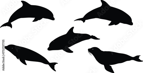 Dolphin and seal silhouettes, marine animals illustration, ocean wildlife icons, aquatic mammals vector, sea life clipart, underwater nature design, educational graphic, animal shapes