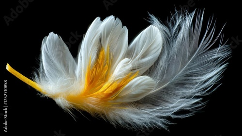 A stunning closeup of a delicate feather showcasing intricate details and soft colors that evoke a sense of tranquility and beauty