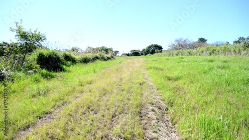 柳ヶ平散策路展望台の丘