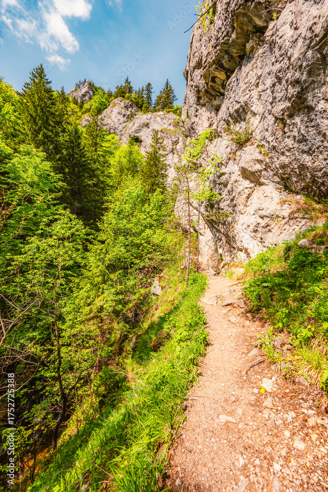 Naklejka premium Hiking in Canyon in Prosiecka Valley near Kvacianska valley in Liptov region in northern Slovakia