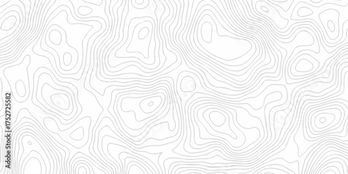 Abstract The pattern discovery vector topo diagram map. creative discovery White wave grid stripe line map topography. vector geographic contour mounted map background.	